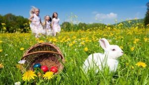 Húsvéti nyúl a festett tojások a fűben