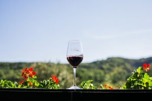 Egy pohár vörösbor muskátlikkal a háttérben