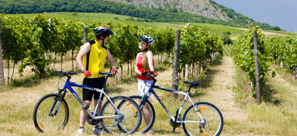 Bicycle rent and cycling tours