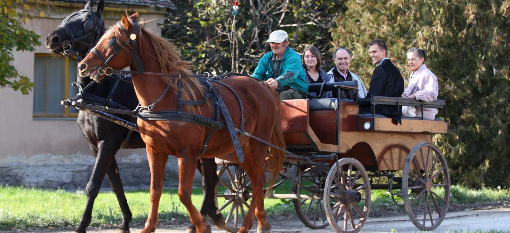 Horse-carriage ride with pálinka-tasting