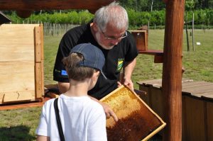 A túravezető a méhkaptárakat mutatja meg egy gyereknek az Ös-Dráva Látogatóközpontban